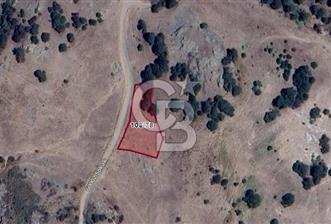 BALIKESİR SINDIRGI ŞAHİNKAYADA YOLA CEPHELİ YATIRIMLIK TARLA - 8 - 323461