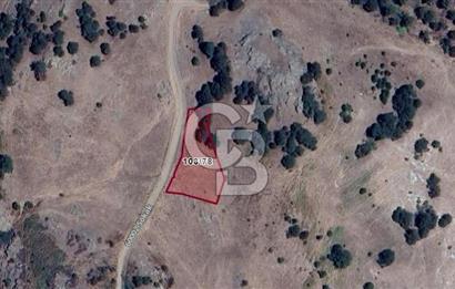 BALIKESİR SINDIRGI ŞAHİNKAYADA YOLA CEPHELİ YATIRIMLIK TARLA