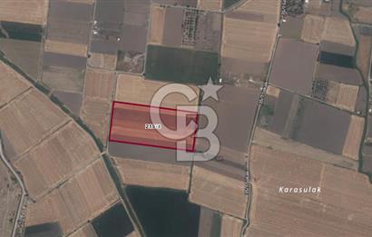 Helvacı'da Foça Yoluna Yakın 8.280 m2 Satılık Hisseli Tarla