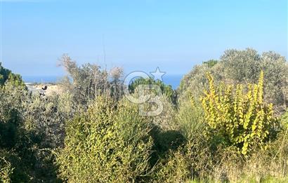 Karaburun Mordoğan Azmak Mevkiinde Deniz Manzaralı Tarla