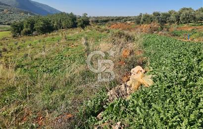 Saruhanlı Salihli Yolunda Ticari Tesislere Yakın Satılık Tarla
