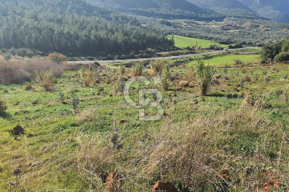 Saruhanlı Salihli Yolunda Ticari Tesislere Yakın Satılık Tarla