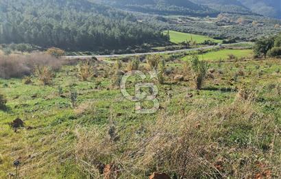 Saruhanlı Salihli Yolunda Ticari Tesislere Yakın Satılık Tarla