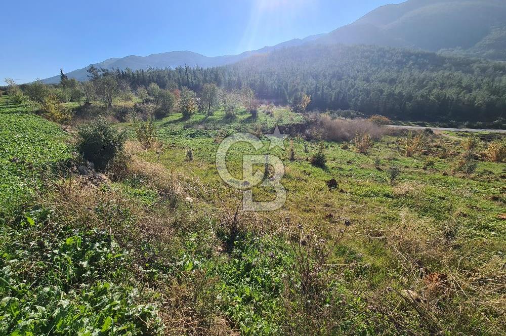 Saruhanlı Salihli Yolunda Ticari Tesislere Yakın Satılık Tarla