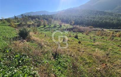 Saruhanlı Salihli Yolunda Ticari Tesislere Yakın Satılık Tarla