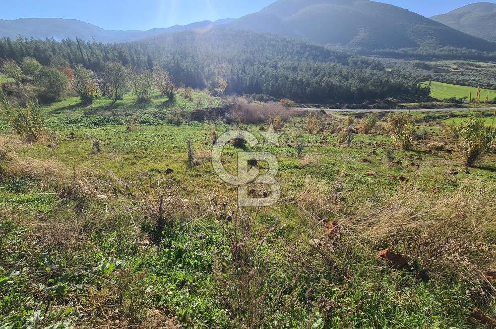 Saruhanlı Salihli Yolunda Ticari Tesislere Yakın Satılık Tarla