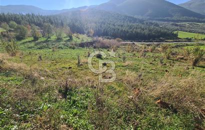 Saruhanlı Salihli Yolunda Ticari Tesislere Yakın Satılık Tarla