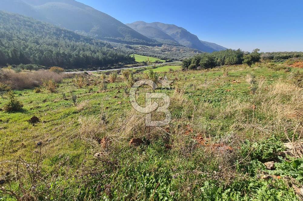 Saruhanlı Salihli Yolunda Ticari Tesislere Yakın Satılık Tarla