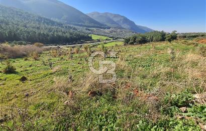 Saruhanlı Salihli Yolunda Ticari Tesislere Yakın Satılık Tarla