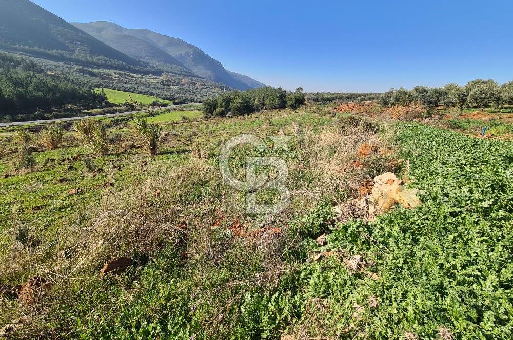 Saruhanlı Salihli Yolunda Ticari Tesislere Yakın Satılık Tarla