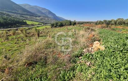 Saruhanlı Salihli Yolunda Ticari Tesislere Yakın Satılık Tarla