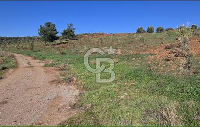 Saruhanlı Salihli Yolunda Ticari Tesislere Yakın Satılık Tarla