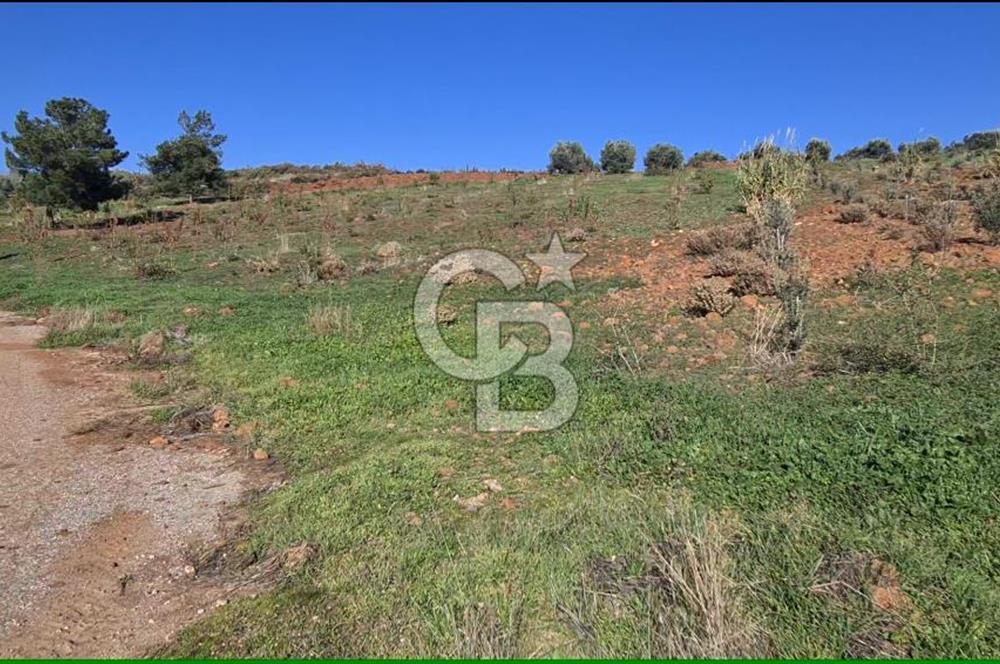 Saruhanlı Salihli Yolunda Ticari Tesislere Yakın Satılık Tarla