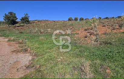 Saruhanlı Salihli Yolunda Ticari Tesislere Yakın Satılık Tarla