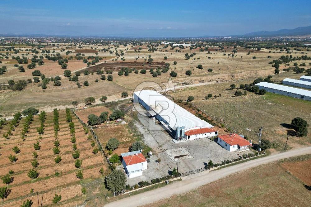 CB OPİA'DAN " ÇALIŞIR DURUMDA FULL OTOMASYON TAVUK ÇİFTLİĞİ "