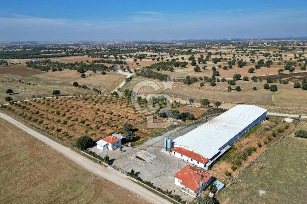 CB OPİA'DAN " ÇALIŞIR DURUMDA FULL OTOMASYON TAVUK ÇİFTLİĞİ "