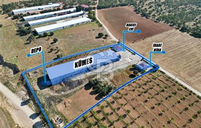 CB OPİA'DAN " ÇALIŞIR DURUMDA FULL OTOMASYON TAVUK ÇİFTLİĞİ "