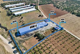 CB OPİA'DAN " ÇALIŞIR DURUMDA FULL OTOMASYON TAVUK ÇİFTLİĞİ " - 3 - 323531