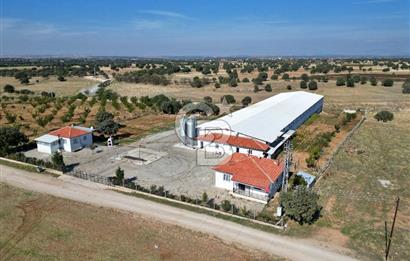 CB OPİA'DAN " ÇALIŞIR DURUMDA FULL OTOMASYON TAVUK ÇİFTLİĞİ "