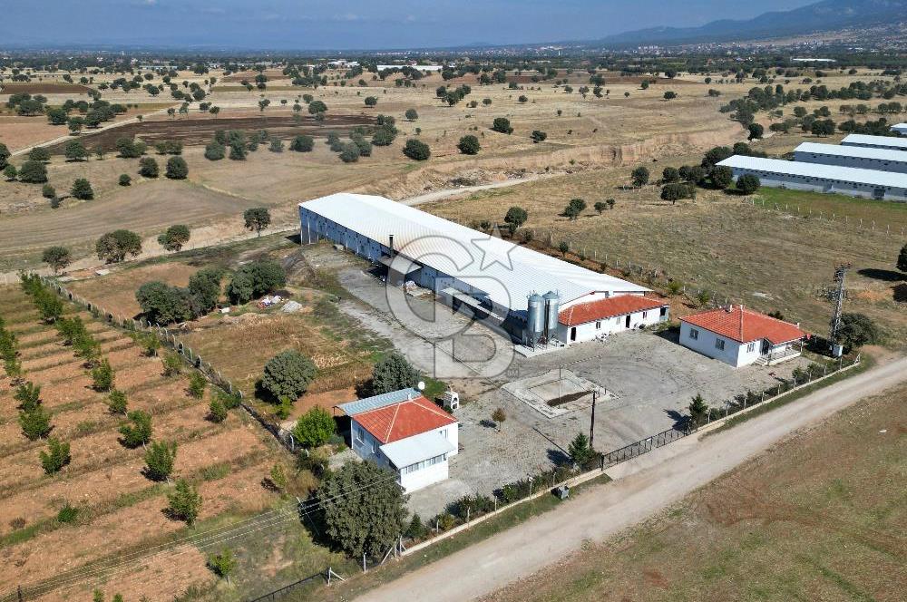 CB OPİA'DAN " ÇALIŞIR DURUMDA FULL OTOMASYON TAVUK ÇİFTLİĞİ "