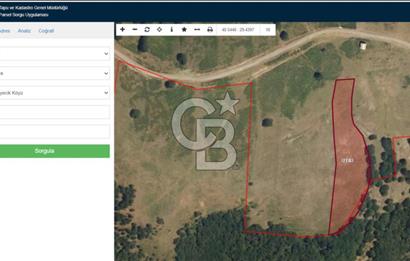 İZNİK GÖLÜ MANZARALI YOLA CEPHELİ YATIRIMLIK