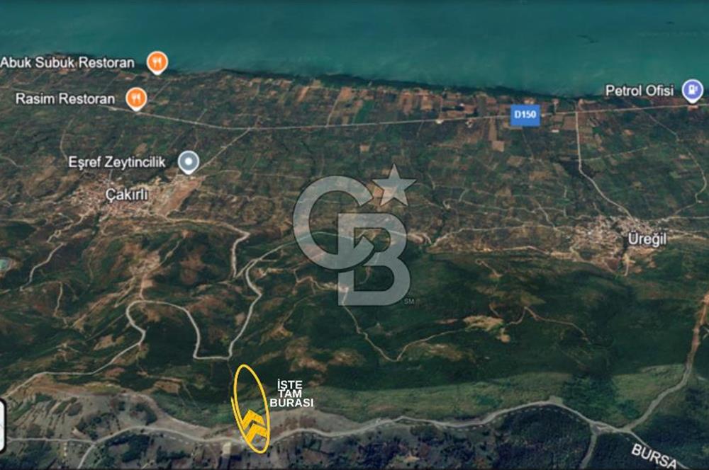 İZNİK GÖLÜ MANZARALI YOLA CEPHELİ YATIRIMLIK