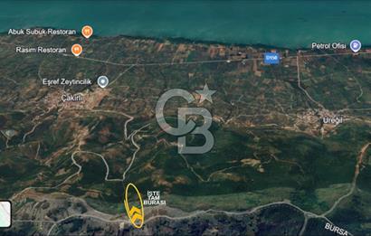 İZNİK GÖLÜ MANZARALI YOLA CEPHELİ YATIRIMLIK