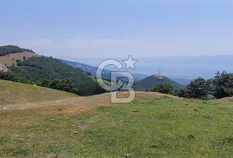 İZNİK GÖLÜ MANZARALI YOLA CEPHELİ YATIRIMLIK - 6 - 323523