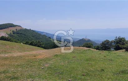 İZNİK GÖLÜ MANZARALI YOLA CEPHELİ YATIRIMLIK