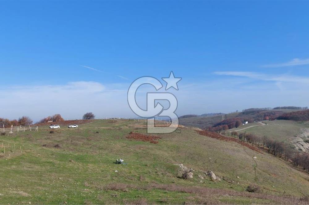 İZNİK GÖLÜ MANZARALI YOLA CEPHELİ YATIRIMLIK