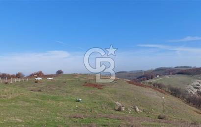 İZNİK GÖLÜ MANZARALI YOLA CEPHELİ YATIRIMLIK