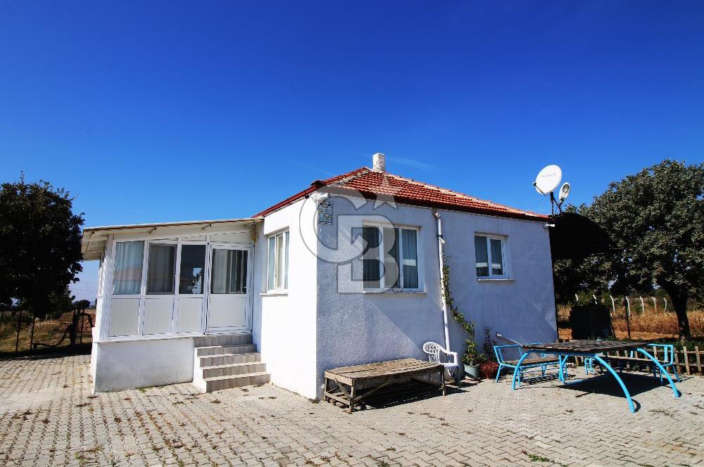 CB OPİA'DAN " ÇALIŞIR DURUMDA FULL OTOMASYON TAVUK ÇİFTLİĞİ "