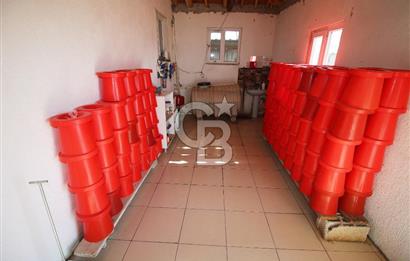 CB OPİA'DAN " ÇALIŞIR DURUMDA FULL OTOMASYON TAVUK ÇİFTLİĞİ "