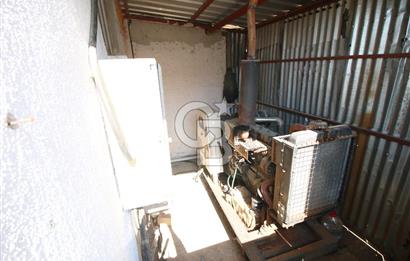 CB OPİA'DAN " ÇALIŞIR DURUMDA FULL OTOMASYON TAVUK ÇİFTLİĞİ "