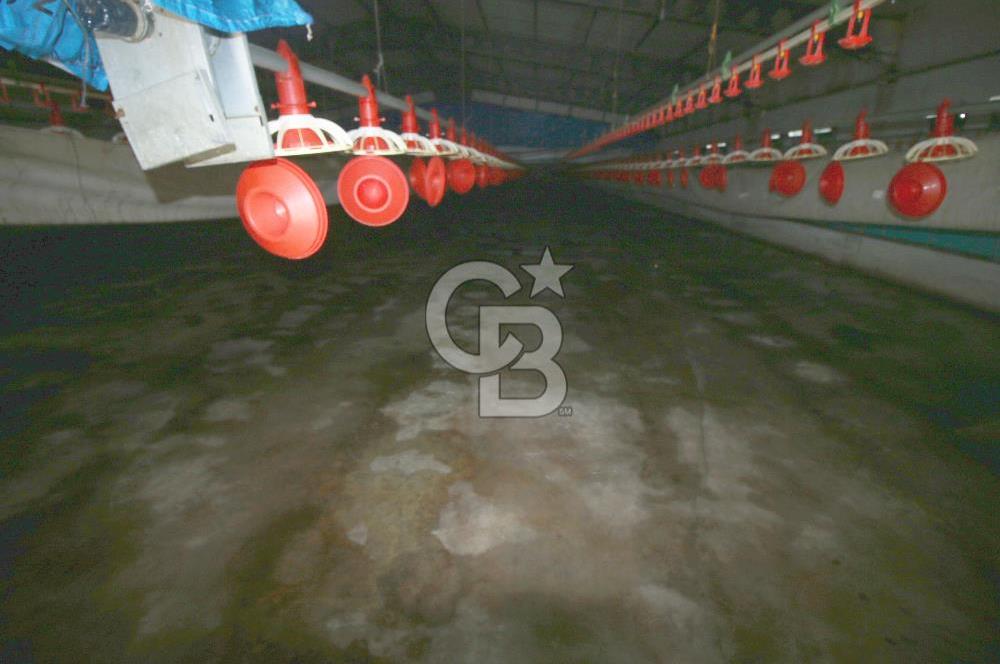 CB OPİA'DAN " ÇALIŞIR DURUMDA FULL OTOMASYON TAVUK ÇİFTLİĞİ "