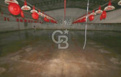 CB OPİA'DAN " ÇALIŞIR DURUMDA FULL OTOMASYON TAVUK ÇİFTLİĞİ "