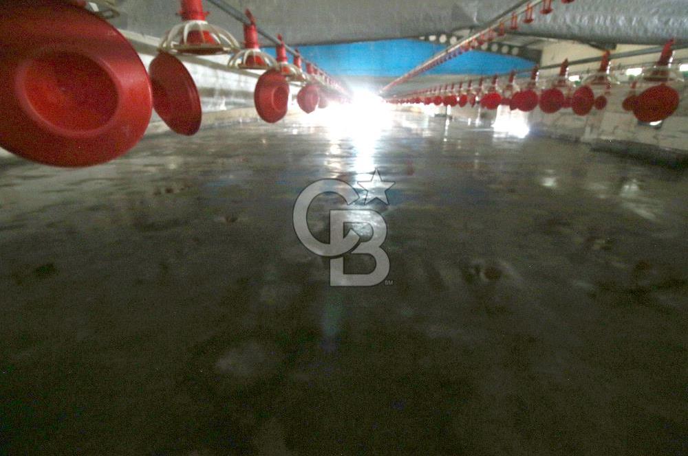 CB OPİA'DAN " ÇALIŞIR DURUMDA FULL OTOMASYON TAVUK ÇİFTLİĞİ "