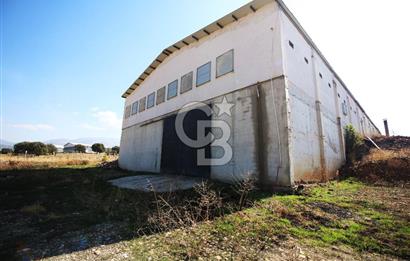 CB OPİA'DAN " ÇALIŞIR DURUMDA FULL OTOMASYON TAVUK ÇİFTLİĞİ "