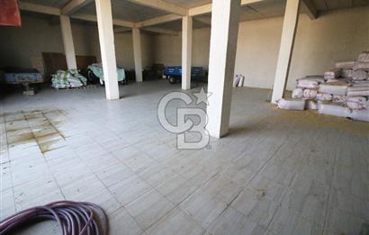 CB OPİA'DAN " ÇALIŞIR DURUMDA FULL OTOMASYON TAVUK ÇİFTLİĞİ "