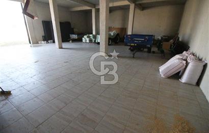 CB OPİA'DAN " ÇALIŞIR DURUMDA FULL OTOMASYON TAVUK ÇİFTLİĞİ "