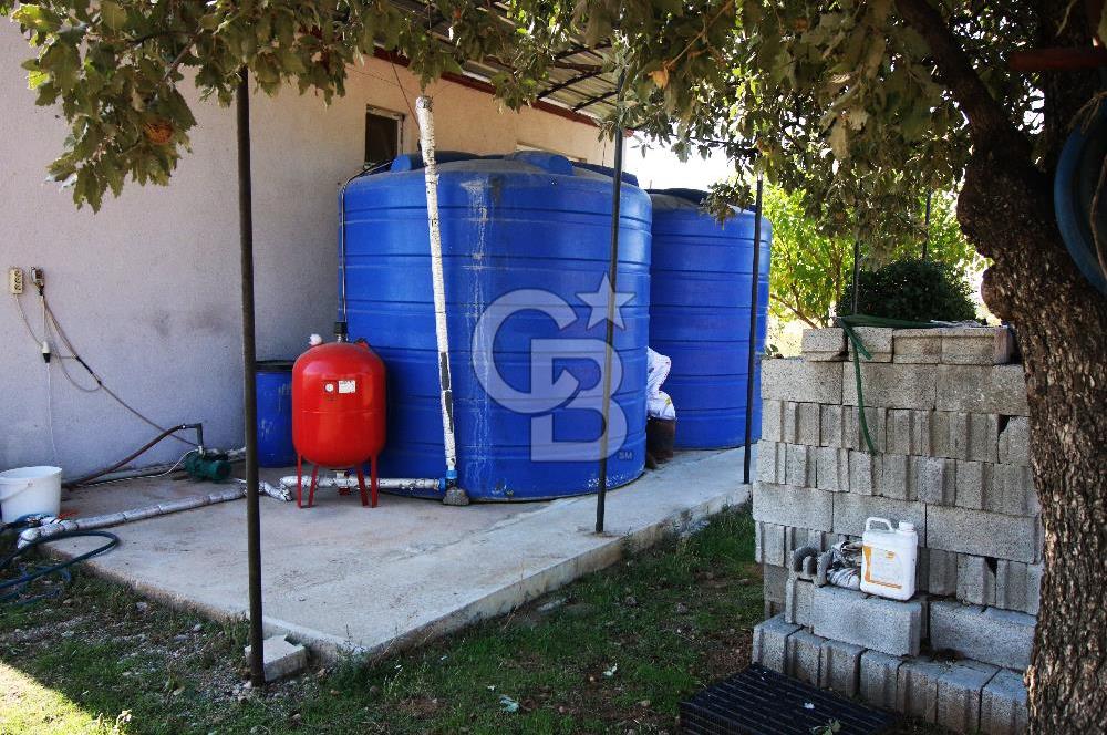 CB OPİA'DAN " ÇALIŞIR DURUMDA FULL OTOMASYON TAVUK ÇİFTLİĞİ "