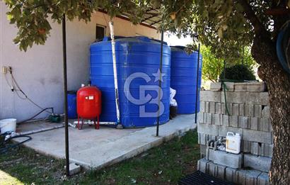 CB OPİA'DAN " ÇALIŞIR DURUMDA FULL OTOMASYON TAVUK ÇİFTLİĞİ "