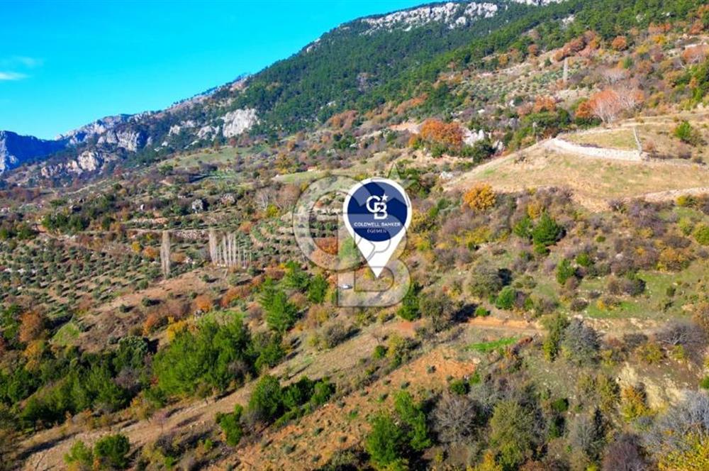 Muğla Menteşe Çatakbağyaka’da Doğayla İç İçe Satılık Tarla