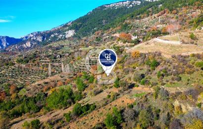 Muğla Menteşe Çatakbağyaka’da Doğayla İç İçe Satılık Tarla