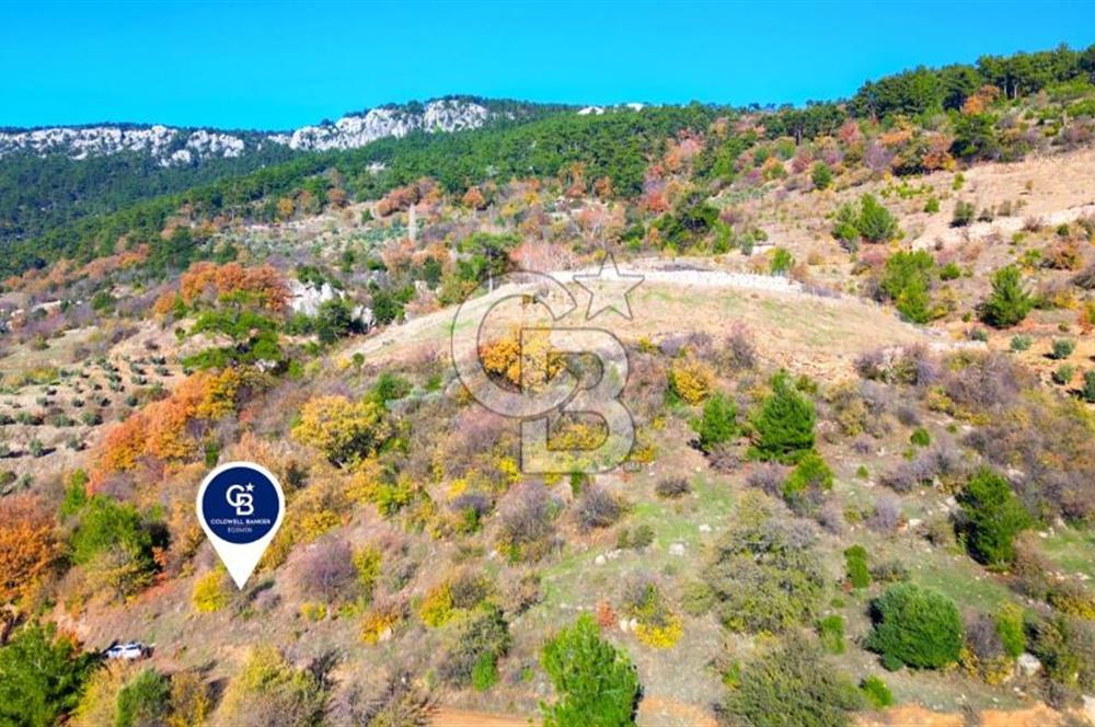 Muğla Menteşe Çatakbağyaka’da Doğayla İç İçe Satılık Tarla