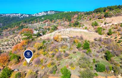 Muğla Menteşe Çatakbağyaka’da Doğayla İç İçe Satılık Tarla