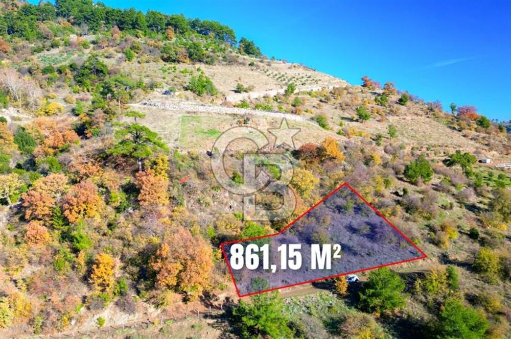 Muğla Menteşe Çatakbağyaka’da Doğayla İç İçe Satılık Tarla