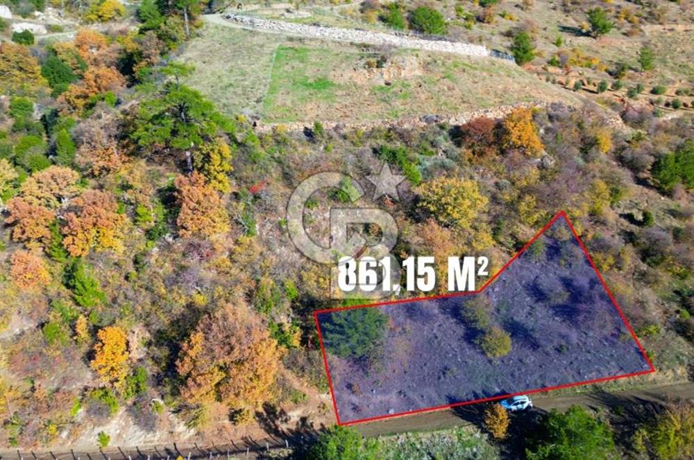 Muğla Menteşe Çatakbağyaka’da Doğayla İç İçe Satılık Tarla