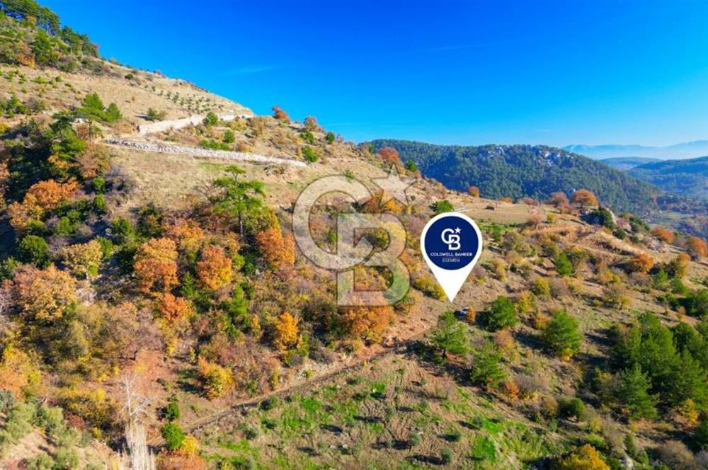 Muğla Menteşe Çatakbağyaka’da Doğayla İç İçe Satılık Tarla