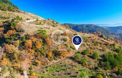 Muğla Menteşe Çatakbağyaka’da Doğayla İç İçe Satılık Tarla